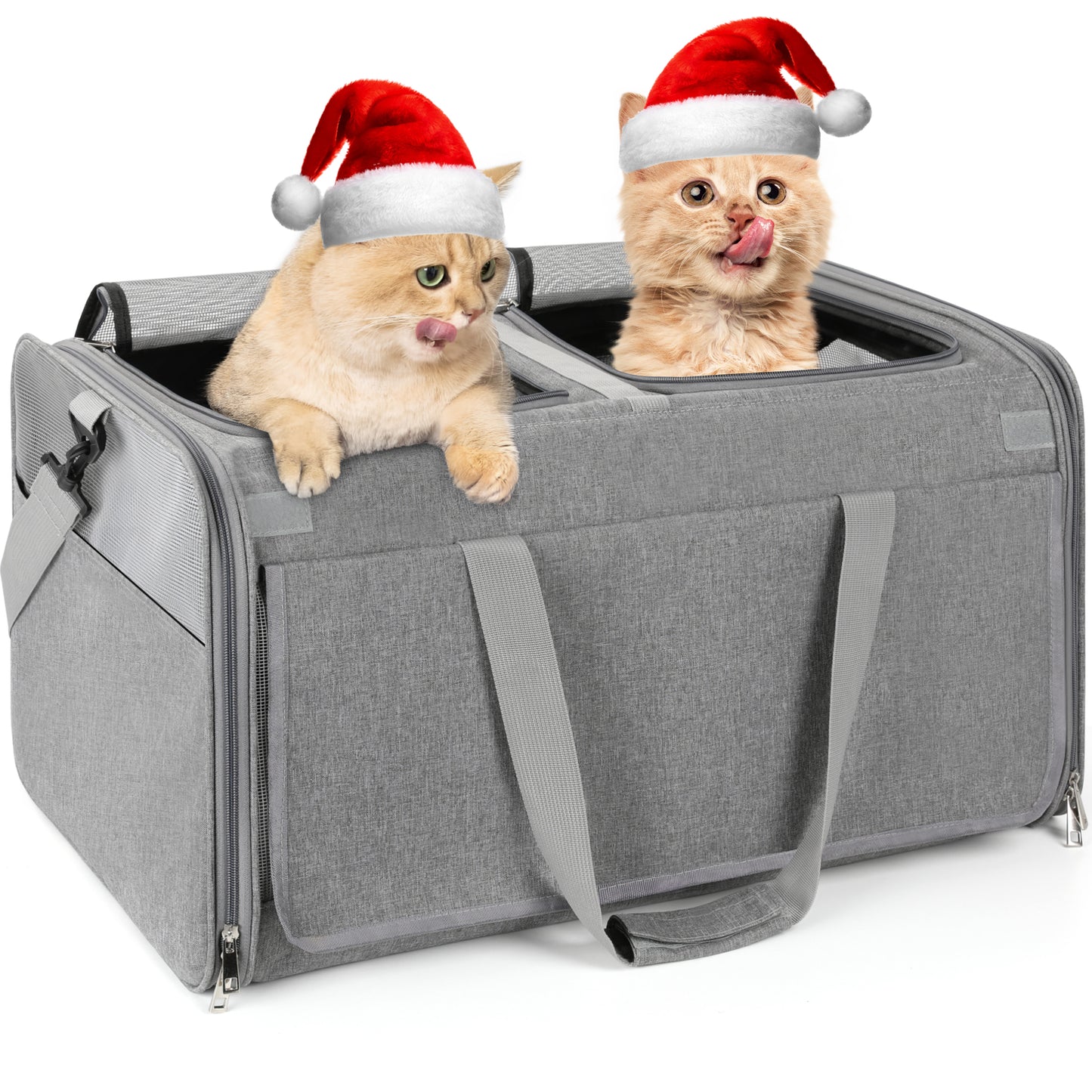 Monasem Expandable Cat Carrier, Collapsible Portable Pet Carrier Travel Bag for Puppies & Small Dogs, 19"x 13"x 13"