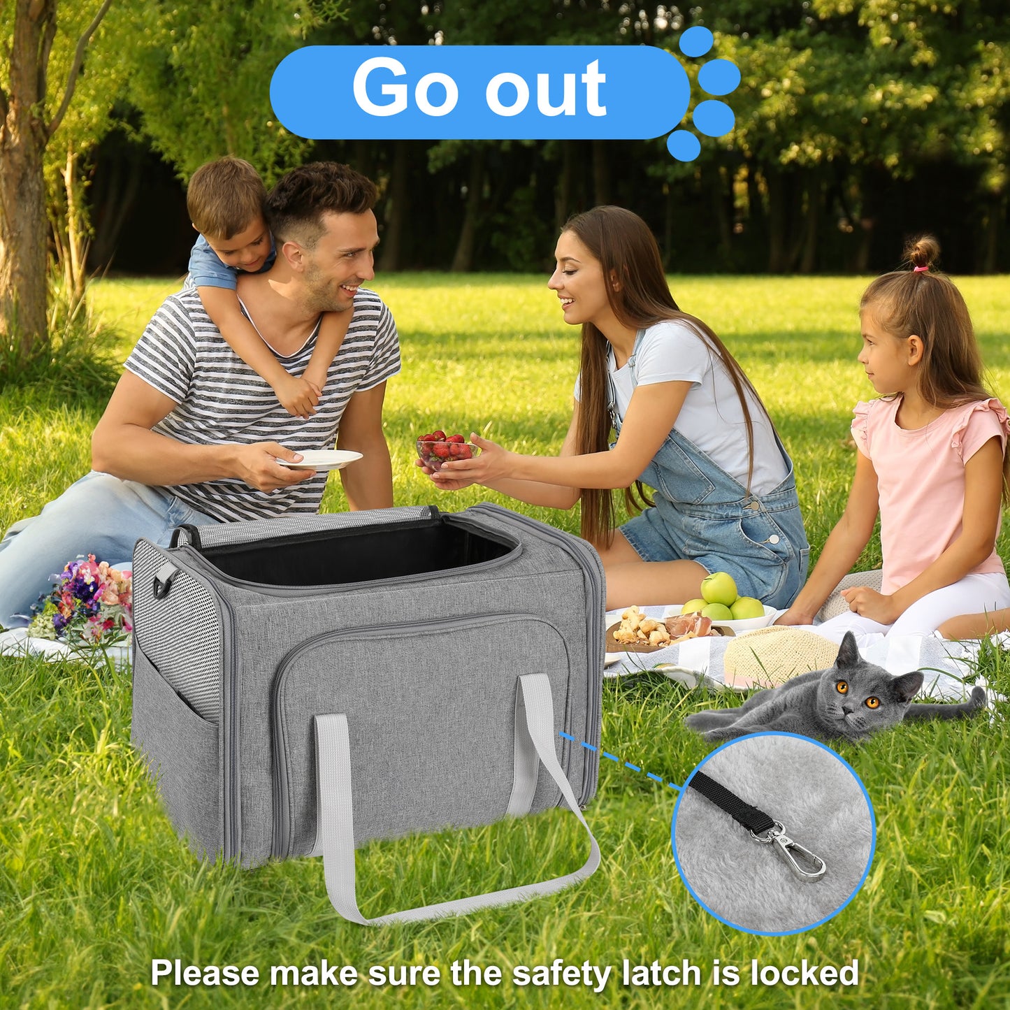 Monasem Pet Carrier (Gray)