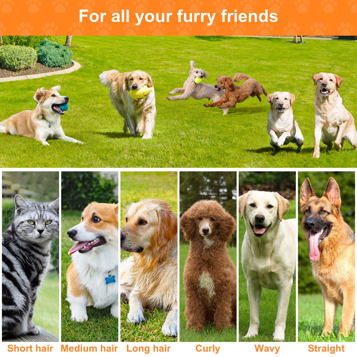 Monasem Dog Grooming Vacuum for Shedding, 13,200Pa Pet Grooming Vacuum Kit with Dogs Cats Clippers, 6 in 1 Low Noise Home Cleaning Tool